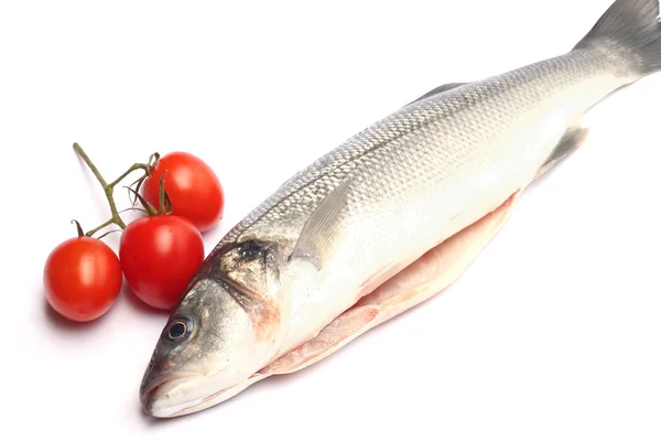 Sea bass isolated on white background with tomatoes — Stock Photo, Image