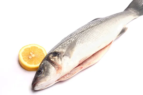 Sea bass isolated on white background with lemon — Stock Photo, Image