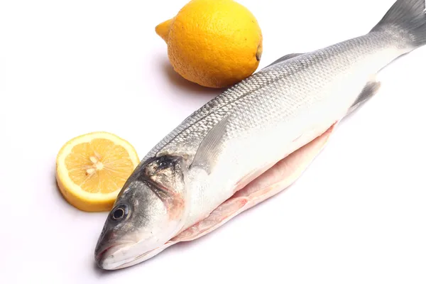 Sea bass isolated on white background with lemon — Stock Photo, Image