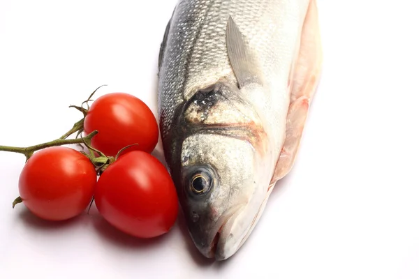 Sea bass isolated on white background with tomatoes — Stock Photo, Image