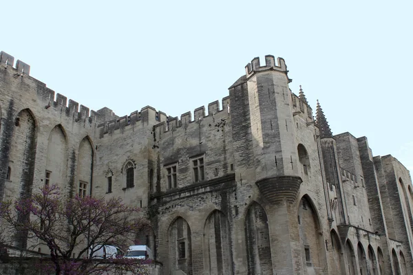 Pałac Papieży w Awinionie (palais des papes) — Zdjęcie stockowe