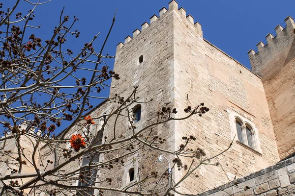 Palma de Mallorca, el palacio real de la Almudaina — Foto de Stock