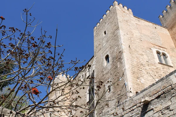 Palma de mallorca, det kungliga palatset av almudaina — Stockfoto