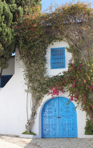 Puerta azul en Sidi Bou Said, Túnez — Foto de Stock