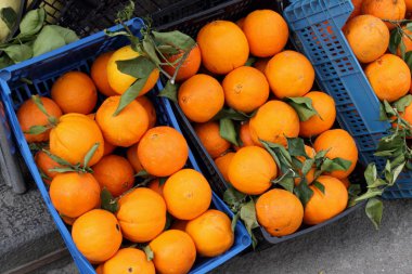 sepet içinde portakal