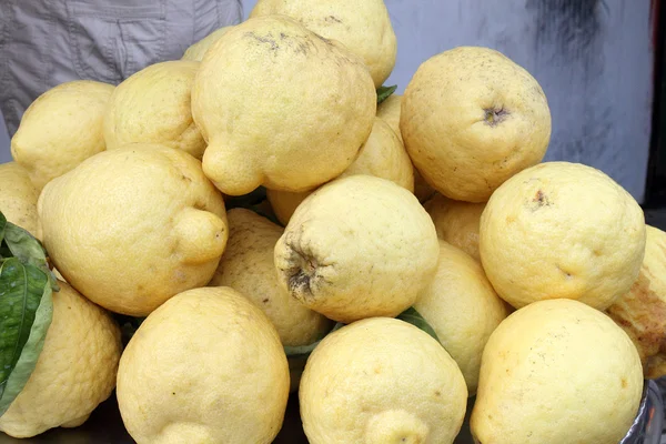 Сорренто-лимоны — стоковое фото