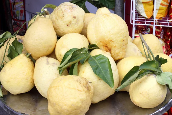 Sorrento lemons — Stock Photo, Image
