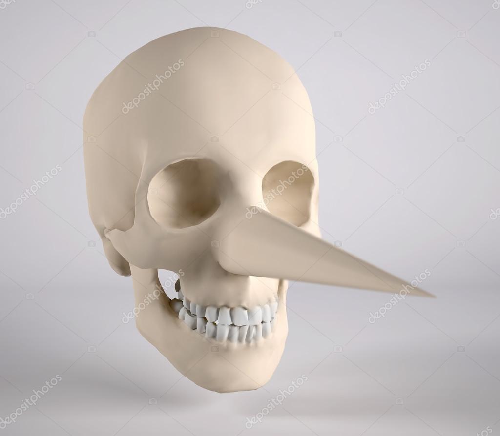 Picture of a big nose