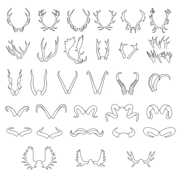 Cuernos animales salvajes — Vector de stock