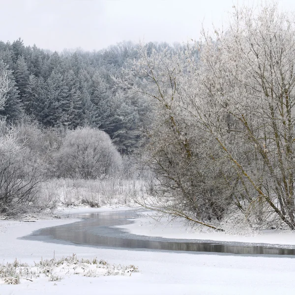 Hermoso invierno Bosque ruso y río — Foto de Stock