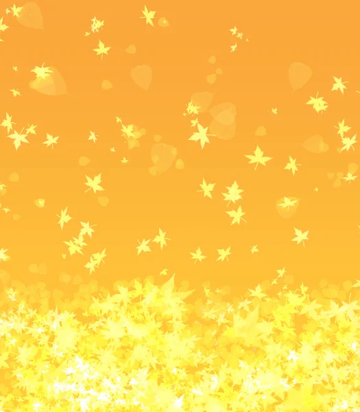 Altın sonbahar — Stok fotoğraf