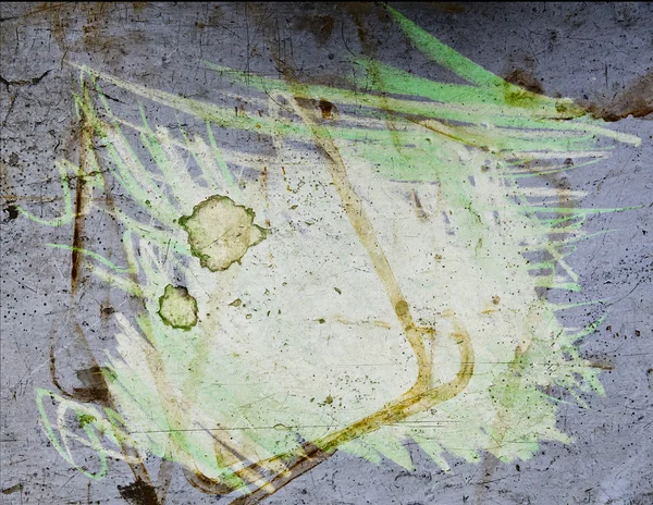 Fotoğraf için çerçeve