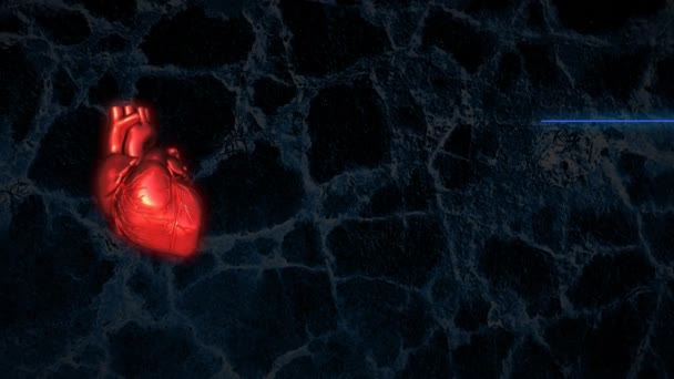 Избиение сердца с помощью ЭКГ Loopable — стоковое видео