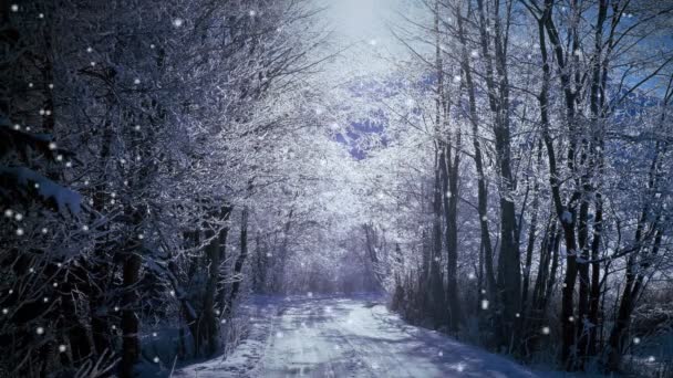 Caída de nieve bosque — Vídeo de stock