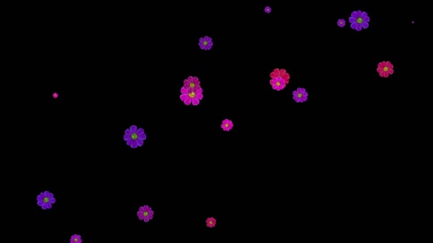 Цветы — стоковое видео