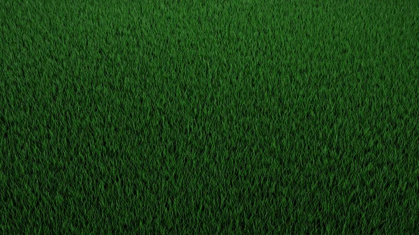 Зелена трава зверху — стокове фото