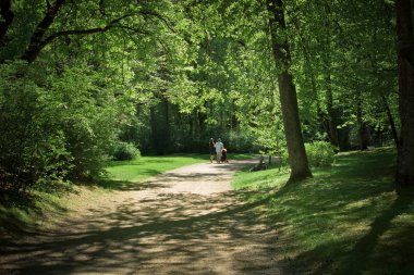Genç bir aile parkta yürüyor.