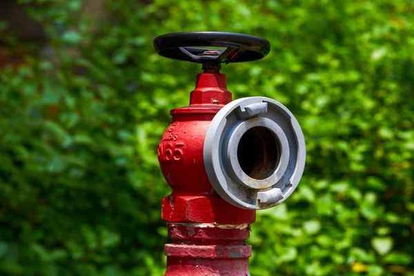 Nahaufnahme Von Rotem Feuerhydranten Mit Grünen Pflanzen Hintergrund Freien — Stockfoto