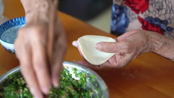 中国家庭里的一位老人用手做饺子 — 图库视频影像