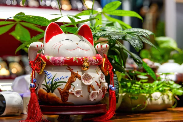 Closeup Cute Ceramic Lucky Cat Piggy Bank — Stock Photo, Image