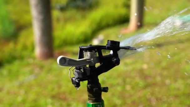 Automatic Watering Device Watering Plants Park Upgrading Slow Motion — Stock video