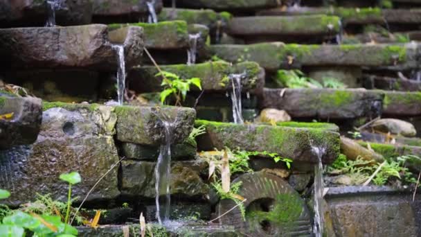 Moss Stone Slab Water Landscape Park — Video