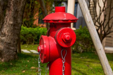 Closeup of red fire hydrant in the park