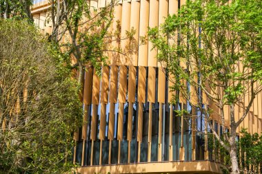 Abstract building facade in the woods