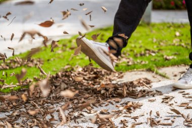 A man is kicking a pile of fallen leaves beside the flyway