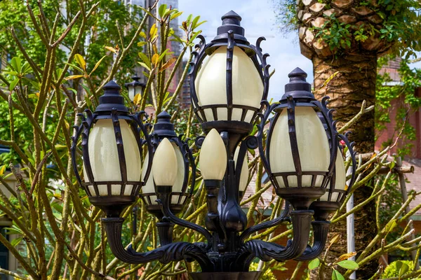 Close European Style Street Lamps Park — 图库照片
