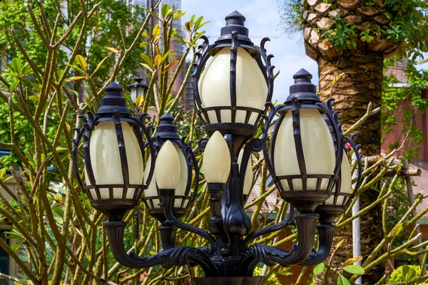 Close European Style Street Lamps Park — 스톡 사진