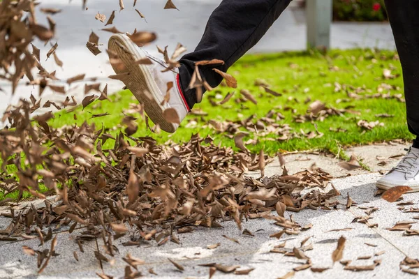 Man Kicking Pile Fallen Leaves Flyway — Fotografia de Stock
