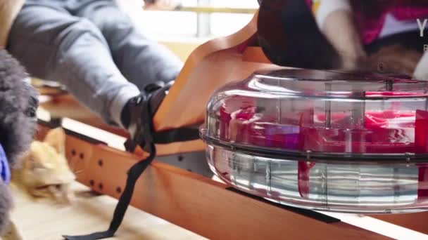 Person Exercising Home Using Water Tank Rowing Machine — Video