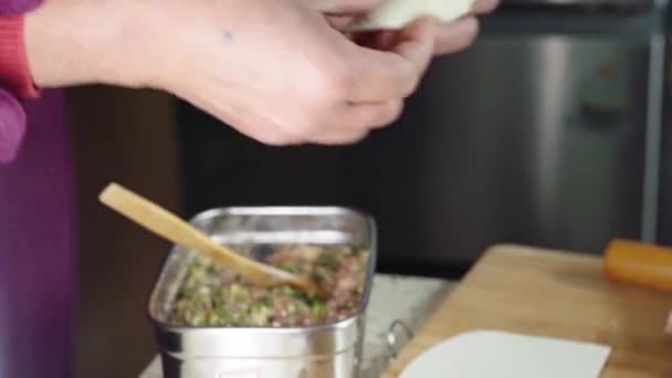 Chefs Making Steamed Buns Fresh Meat Buns Barbecued Pork Buns — Vídeo de Stock