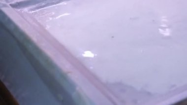 Çin pilav dükkanının mutfağında, şef pirinç rulosu yapıyor.