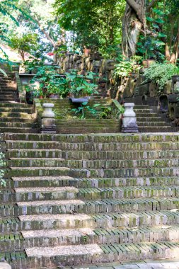Parktaki eski merdiven.