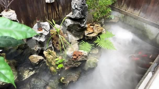 Uma Piscina Nebulosa Rockery Fluindo Paisagem Água — Vídeo de Stock