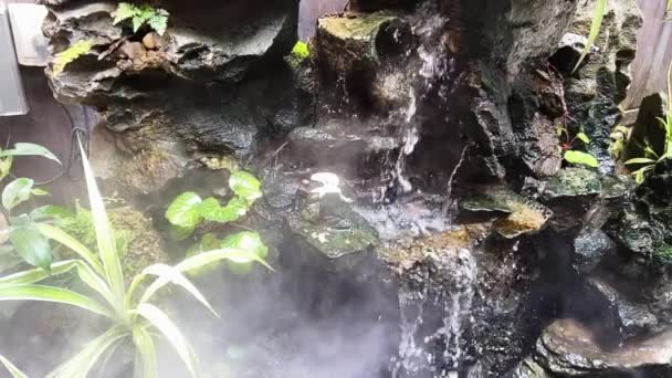 Vídeo Cámara Lenta Agua Corriente Una Piscina Con Paisaje Rocoso — Vídeo de stock