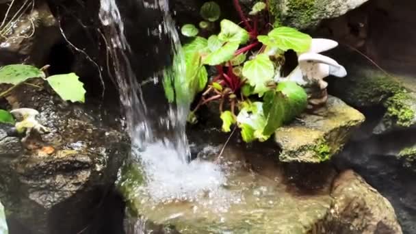 Vídeo Câmera Lenta Água Corrente Uma Piscina Com Paisagem Rochosa — Vídeo de Stock