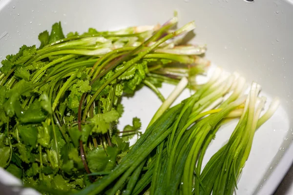 Cilantro Recién Lavado Cebollino Cocina — Foto de Stock