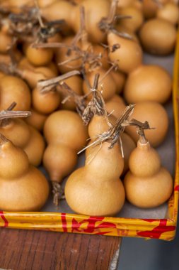 Bir grup Çin usulü uğurlu su kabağına yakın çekim