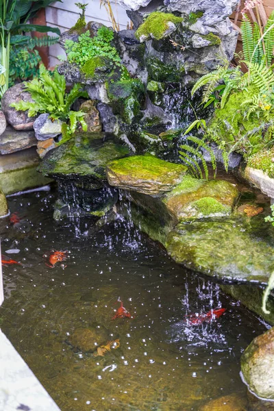 Estanque Peces Koi Con Paisaje Rocoso Fluido Agua — Foto de Stock