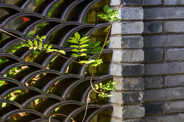 瓦製の中国風の壁 — ストック写真