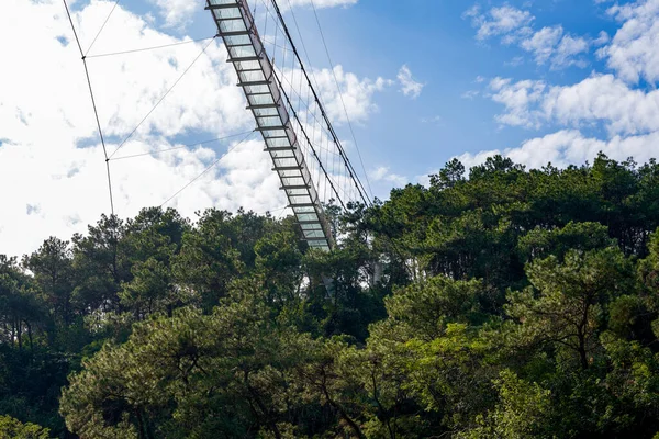 Υαλοπίνακας Υψηλού Ύψους Κρεμαστή Γέφυρα Στο Πάρκο — Φωτογραφία Αρχείου