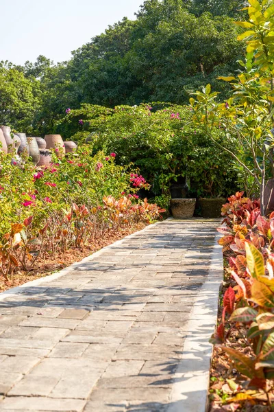 Parktaki bitki patikalarına yakın plan.