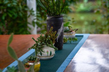 Eski bir Çin köyüne tuğla duvarlar ve bitkiler diktim.