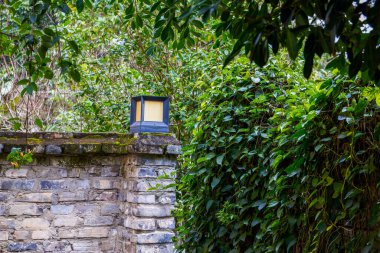 Taş binalar ve bir bahçe parkına yeşil bitkiler diktiler.