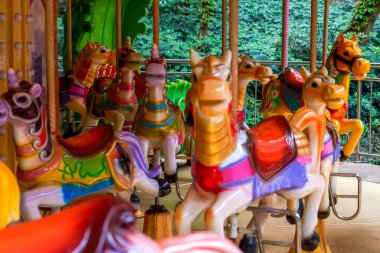 Çocuk parkındaki atlıkarıncaya yakın çekim