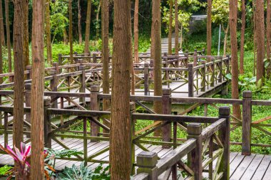 9 kıvrımlı koridor orman parkında yürüyor.