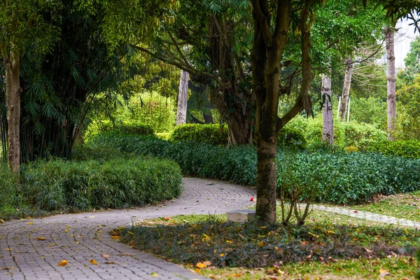 Forest Park 'taki yeşil taş geçidine yakın çekim